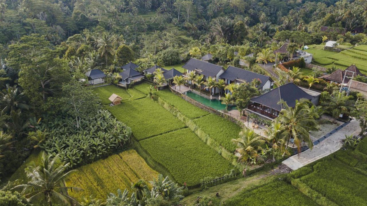 Pinggala Villa Ubud 파양간 외부 사진